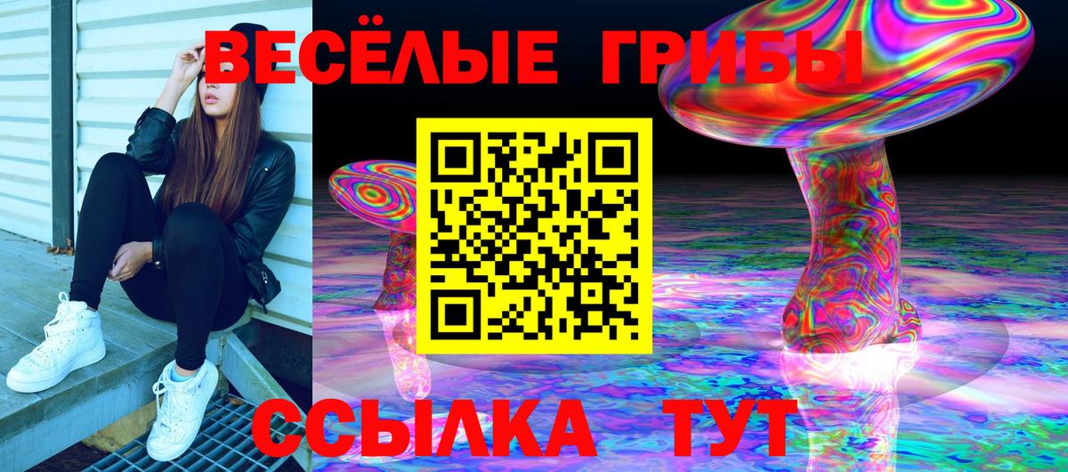 Псилоцибиновые грибы мухоморы Черногорск